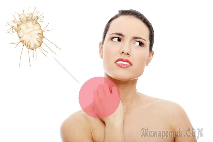 Причины кожных болезней и их лечение в восточной медицине