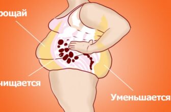 Чудо-суп, который очистит организм всего за неделю! Вес тает, и есть совсем не хочется.