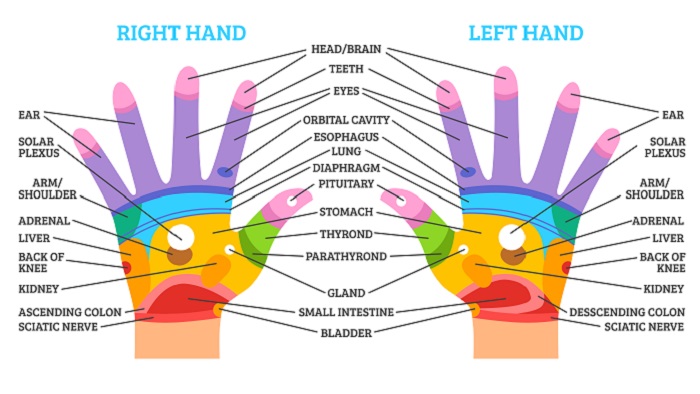 Каждый палец сопряжен с двумя органами: японский метод излечит за 5 минут любую хворь!