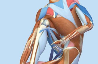 Гимнастика фараонов: Упражнения, которые стоит делать сразу после пробуждения