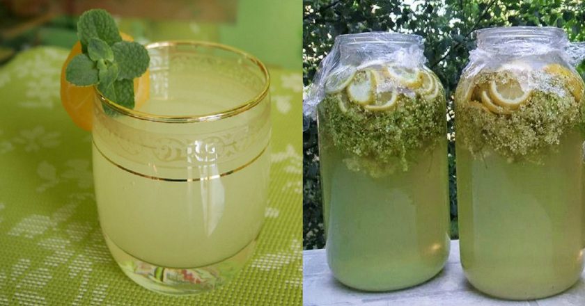 Домашний лимонад из бузины: с пузырьками и приятным цветом