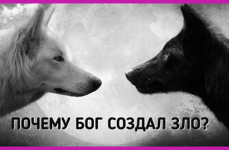 А вы знаете почему Бог создал зло? Ответ вас поразит!