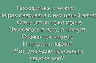 Семейная жизнь в 15-ти юмористических картинках!