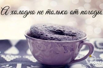 «А холодно не только от погоды…» — Очень глубокое, замечательное стихотворение!