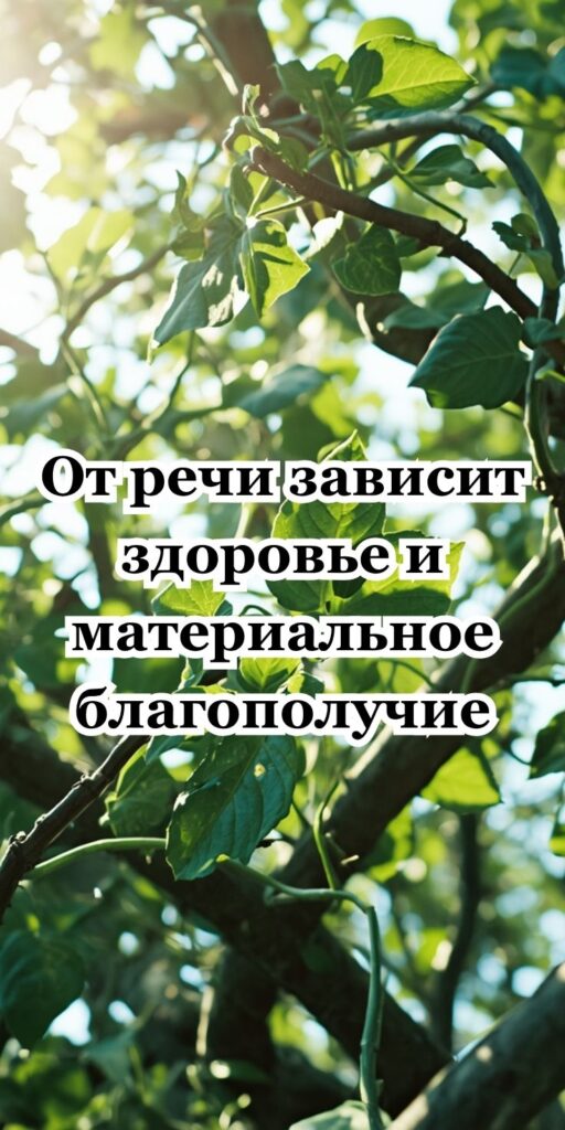 От речи зависит здоровье и материальное благополучие