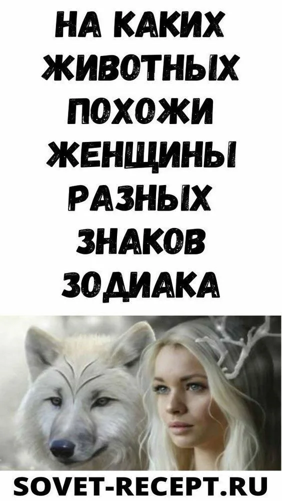На каких животных похожи женщины разных знаков Зодиака