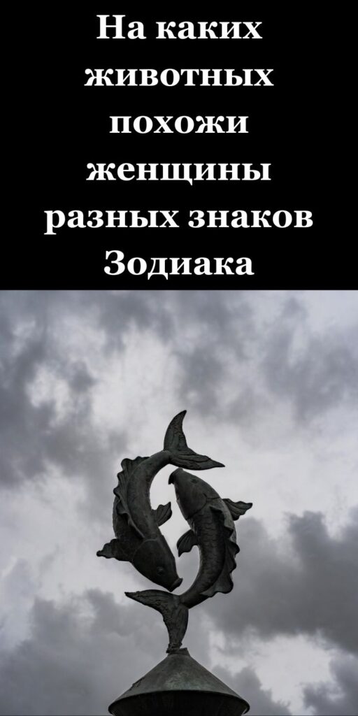 На каких животных похожи женщины разных знаков Зодиака