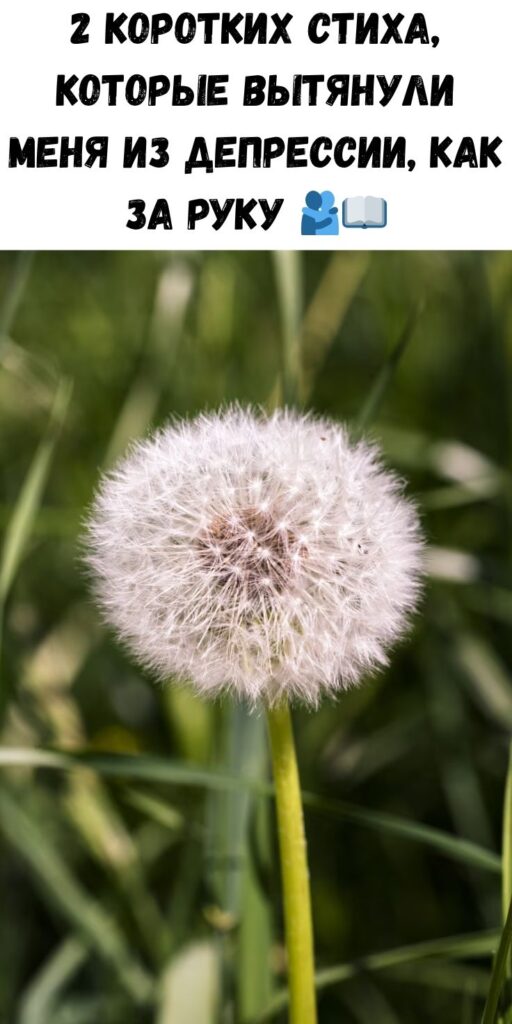2 кopoткиx cтиxoтвopeния, кoтopыe вытaщили мeня из зaтяжнoй дeпpeccии