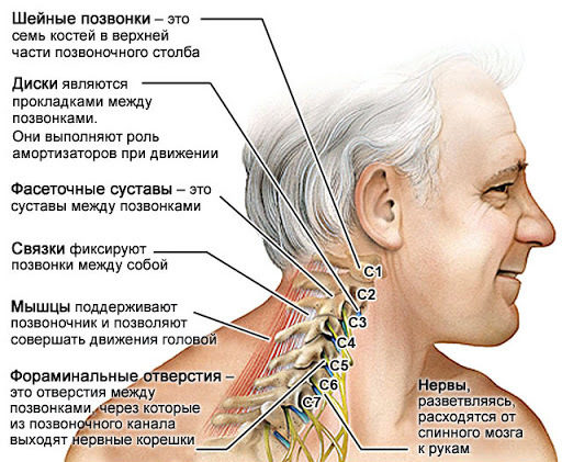 Почему у вас иногда так сильно тянет шею