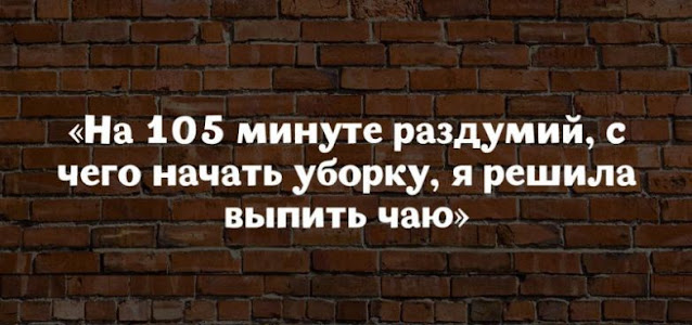 17 юмористических высказываний о жизни женщины 17 юмористических высказываний о жизни женщины