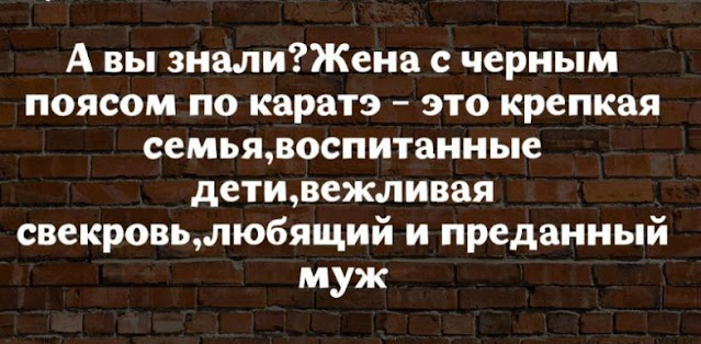 17 юмористических высказываний о жизни женщины 17 юмористических высказываний о жизни женщины