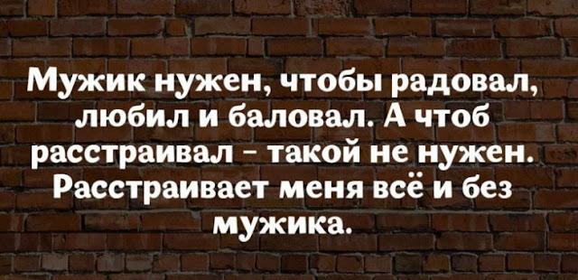 17 юмористических высказываний о жизни женщины 17 юмористических высказываний о жизни женщины