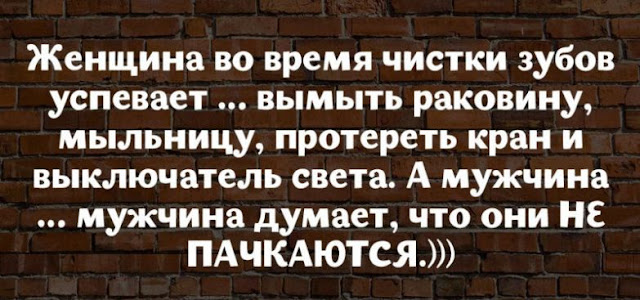 17 юмористических высказываний о жизни женщины 17 юмористических высказываний о жизни женщины