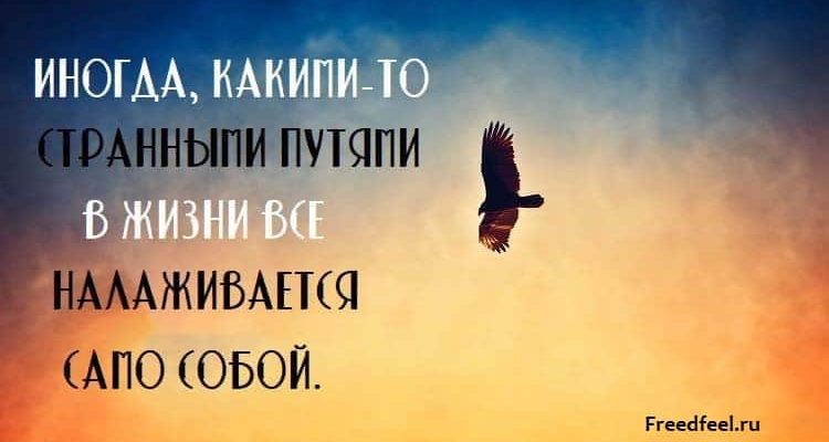 Эти строки следует перечитывать как минимум, раз в неделю!