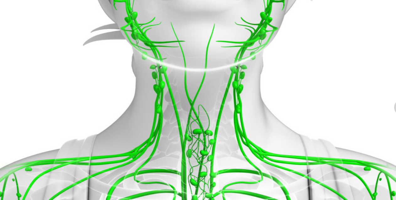 Уникальный рецепт очищения и лечения всей лимфатической системы