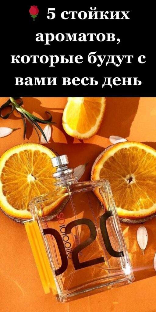 🌹 5 стойких ароматов, которые будут с вами весь день (и даже ночь!)